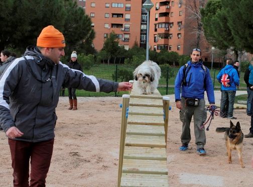 La Asociación Canina de Leganés impartirá el curso de Ciudadano Canino Ejemplar