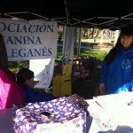 II Jornadas de Adopción Canina