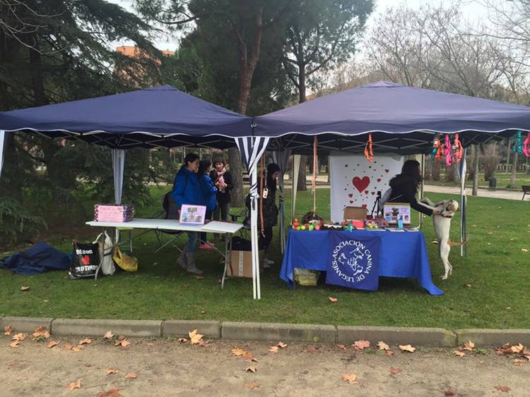 Celebran las II Jornadas de Adopción de la Asociación Canina de Leganés