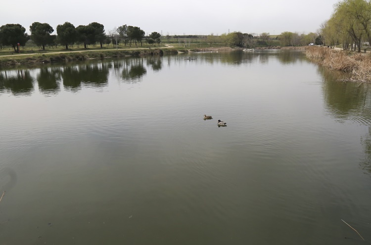 Alumnos de Leganés recorrerán nueva ruta ecológica por el Parque Lineal Arroyo Butarque