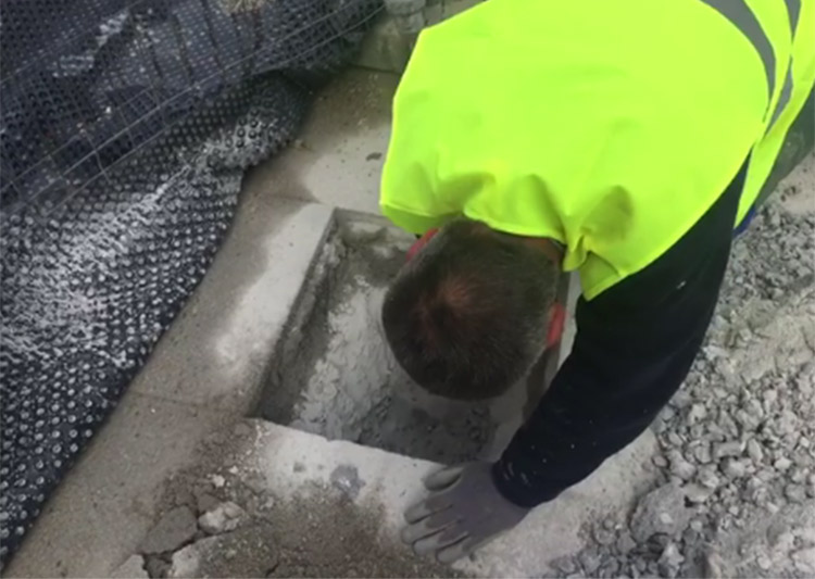 Rescatada una gatita atrapada bajo el cemento de Leganés