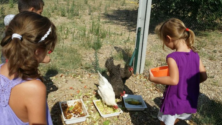 La Fundación FAD abre el plazo de inscripción para su Campamento Diververano