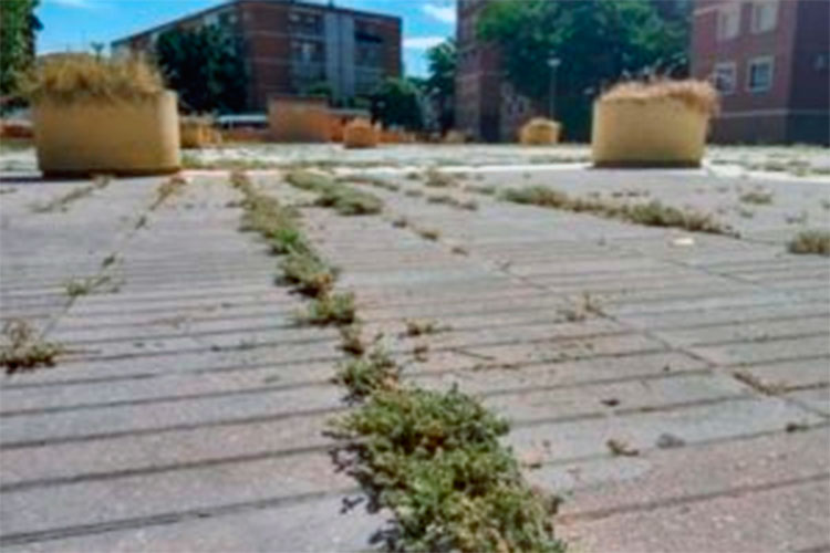 Denuncian el abandono de la plaza Emilio Simón y las calles del municipio