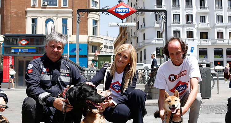Los perros podrán viajar en el Metro de Madrid a partir de hoy
