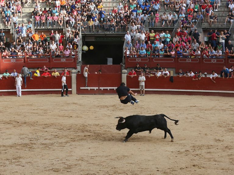 Más Madrid Leganés exige eliminar los festejos taurinos de las Fiestas