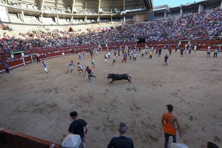 Podemos exige la suspensión de los festejos taurinos en Leganés: «Nos devuelve a tiempos pasados»
