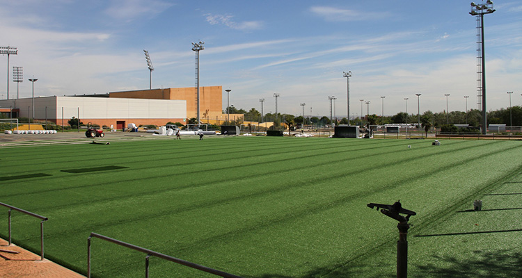 campos de la cantera