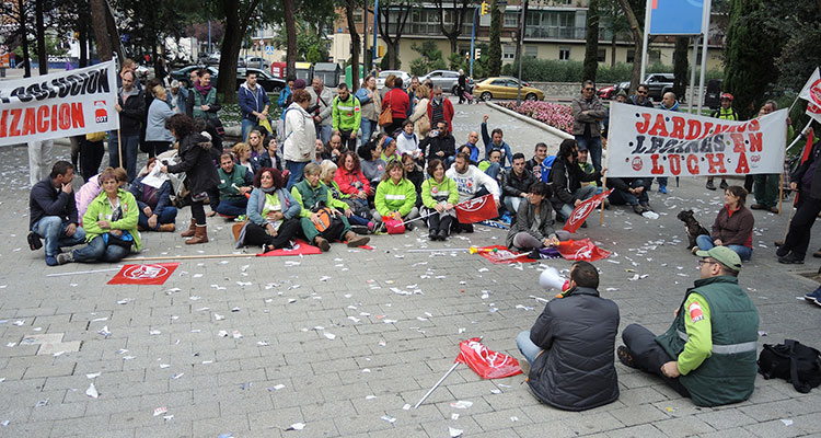 helechos-en-lucha