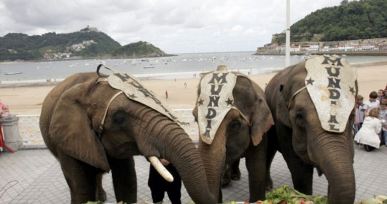 Leganés, ciudad libre de circos con animales