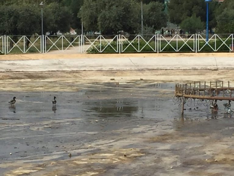 Leganemos denuncia la falta de previsión en las labores de limpieza del Parque El Carrascal