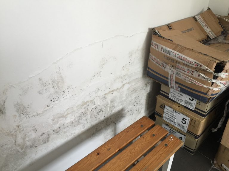 El Partido Popular denuncia las goteras que sufre el CD Fortuna en su sede y su campo