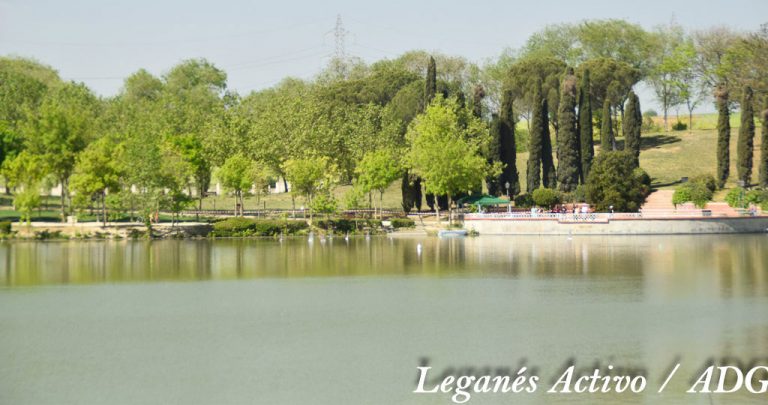 El proyecto de un cable-esquí privado amenaza el hábitat del Parque de Polvoranca