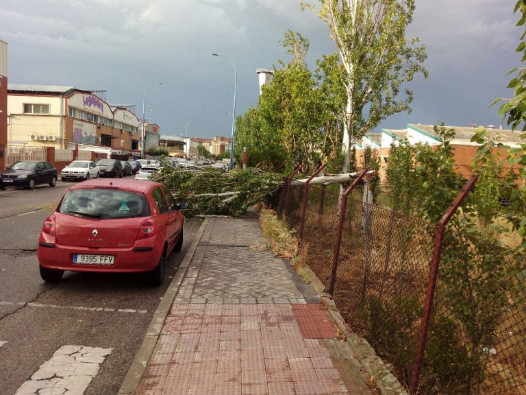 Árboles caídos y carreteras cortadas son el balance del temporal en Leganés