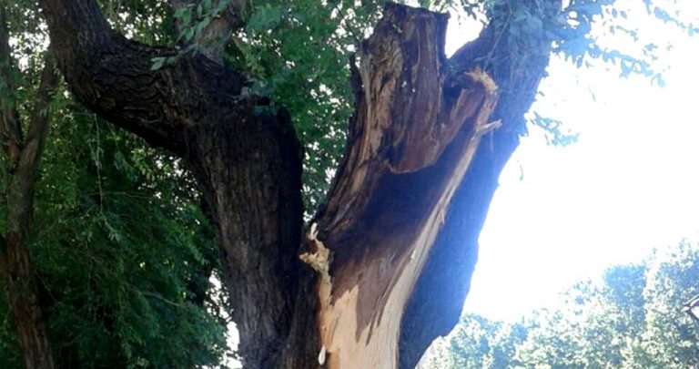 CGT acusa a Althenia de persecución sindical