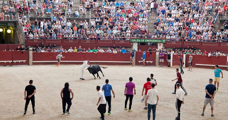 El último encierro de las Fiestas de Leganés concluye sin heridos