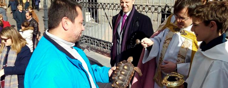 La Diócesis de Getafe celebra la festividad de San Antón en Leganés