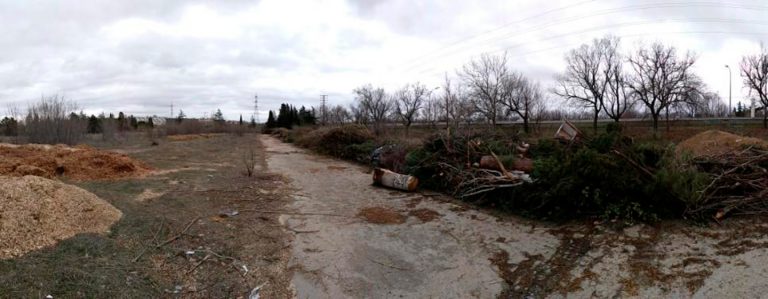 El Ayuntamiento asegura que los restos de poda están en Solagua de forma temporal