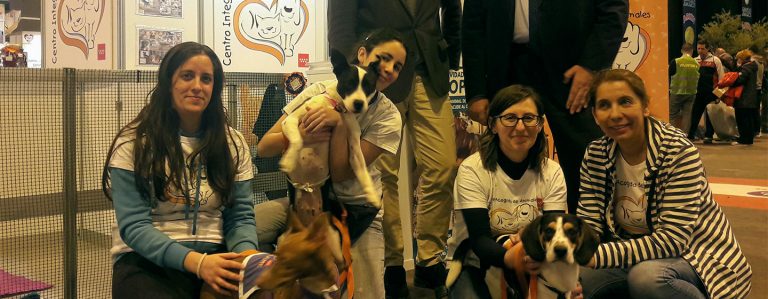 La Comunidad de Madrid celebra la Feria 100×100 Mascota