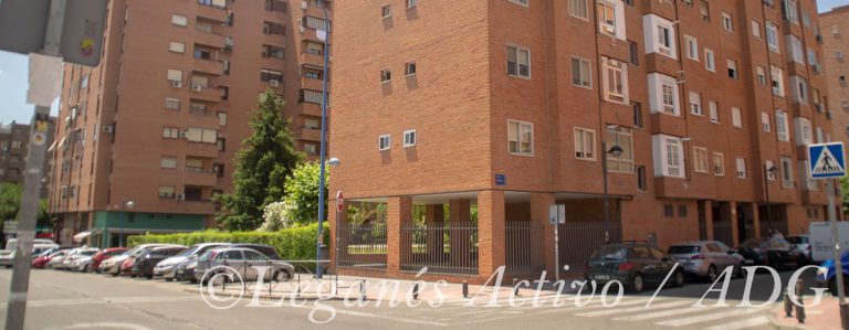 Vecinos denuncian plaga de blatodeos en barrio El Carrascal