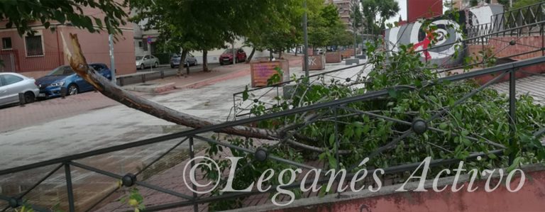 Una tormenta de granizo provoca nuevas caídas de ramas en Leganés