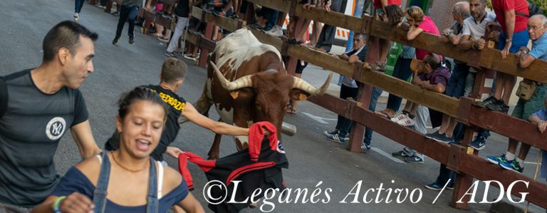 Cuatro heridos en el primer encierro de las Fiestas de Leganés 2018