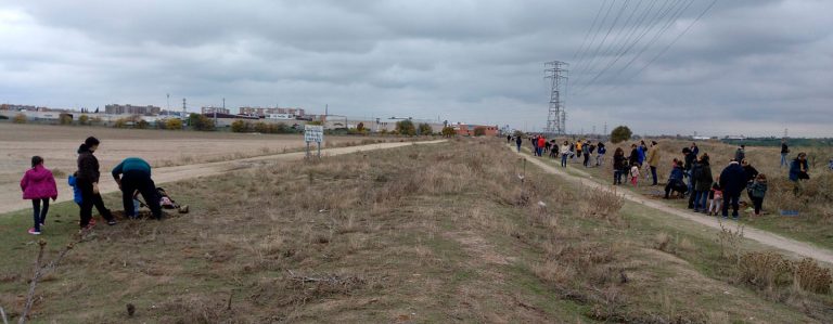 Decenas de personas ‘plantan un árbol’ por la recuperación de la Vía Verde