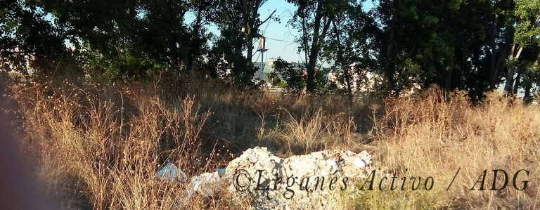 Organizan una nueva plantación vecinal en Arroyo Butarque