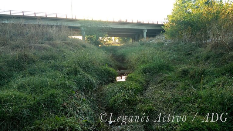 Leganés plantará 2.400 árboles entre Prado Overa y Leganés Norte