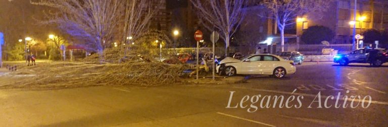 Un coche choca contra un árbol en Zarzaquemada cortando el tráfico