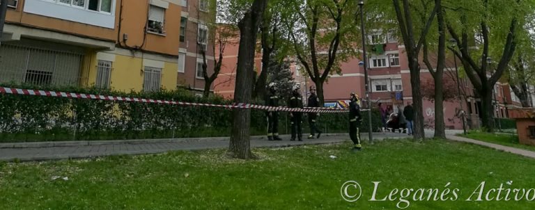 ‘Rescatada’ una papelera de la copa de un árbol en Zarzaquemada