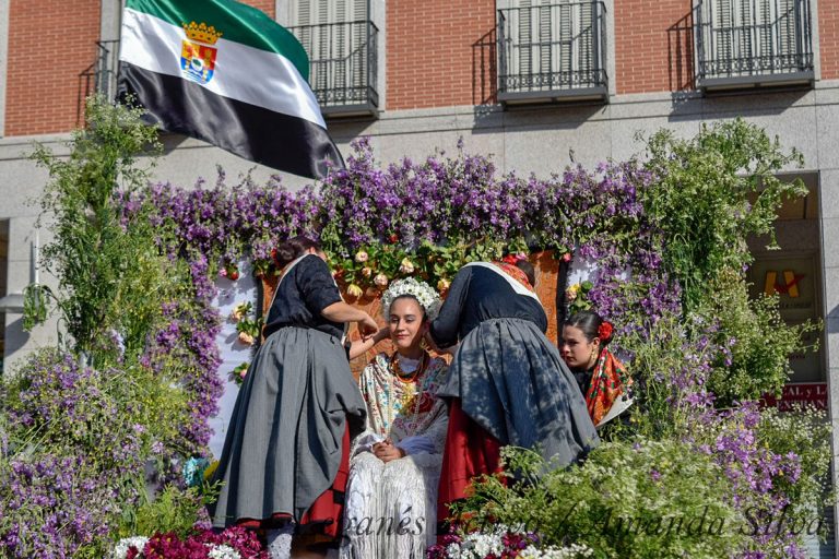 La fiesta de las Mayas ya es Bien de Interés Cultural