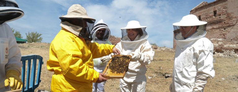 La Ministra de Transición Ecológica visita el Apiario municipal de Leganés en el Día Mundial de las Abejas