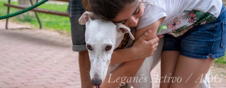 Éxito en la Feria de Adopción canina de Leganés