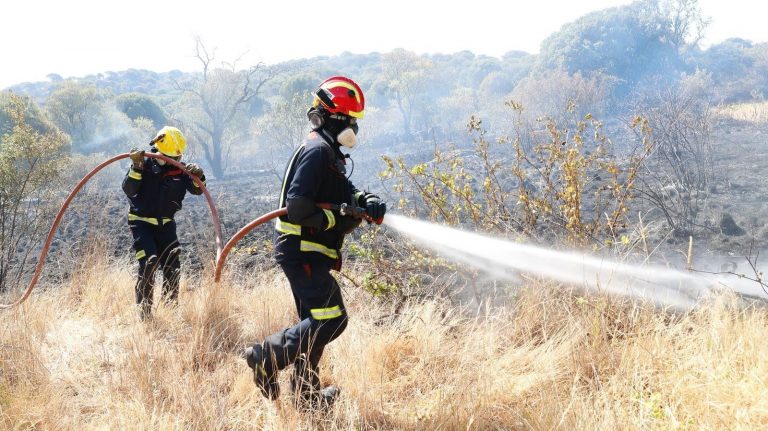 Primeras ayudas a Cadalso de los Vidrios, Cenicientos y Rozas de Puerto Real tras los incendios
