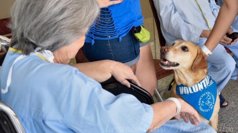 Los perros entran al Hospital Severo Ochoa