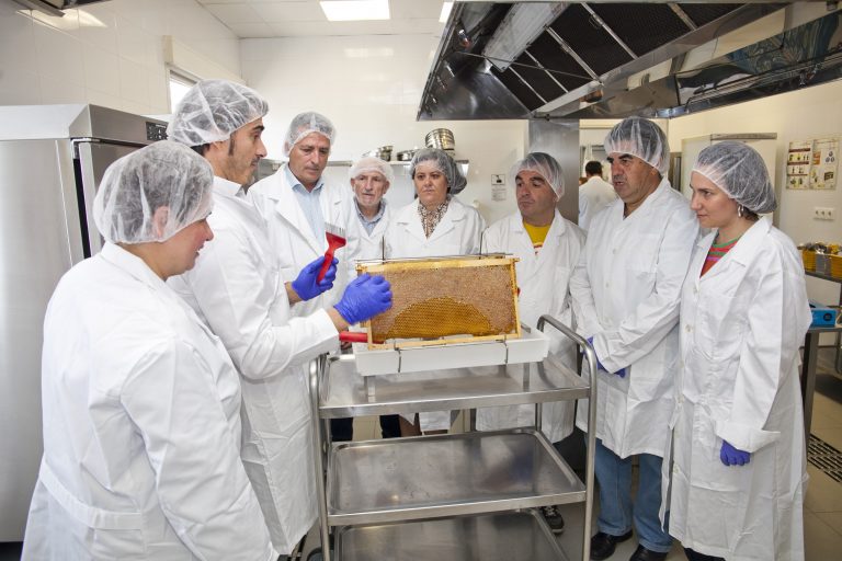 Personas con discapacidad intelectual de AMÁS colaboran en la extracción de miel de Leganés