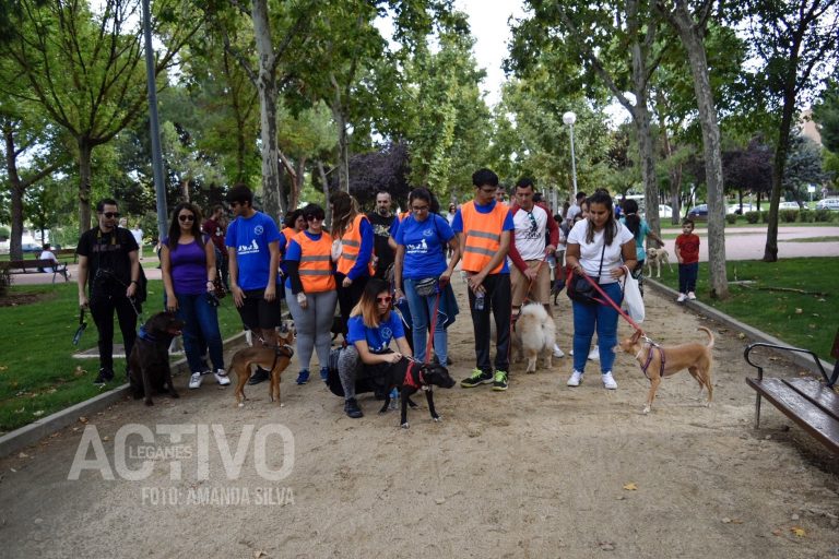 Leganés marcha en la IV Ruta Canina