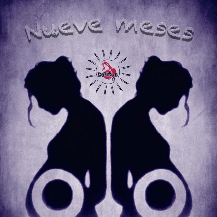 delitos disco nueve meses