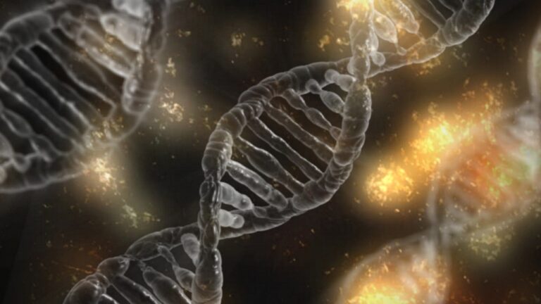 UC3M colabora en la investigación de nuevos tratamientos para enfermedades genéticas raras