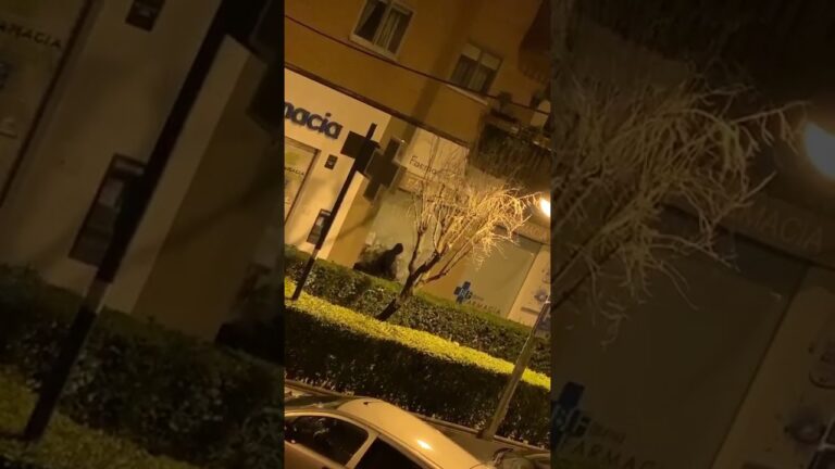 VÍDEO | La Policía Nacional detiene in fraganti a cuatro individuos por asaltar dos farmacias en Leganés