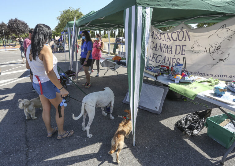 Más de 30 personas y una quincena de perros disfrutaron de la ruta canina en plena naturaleza en Leganés