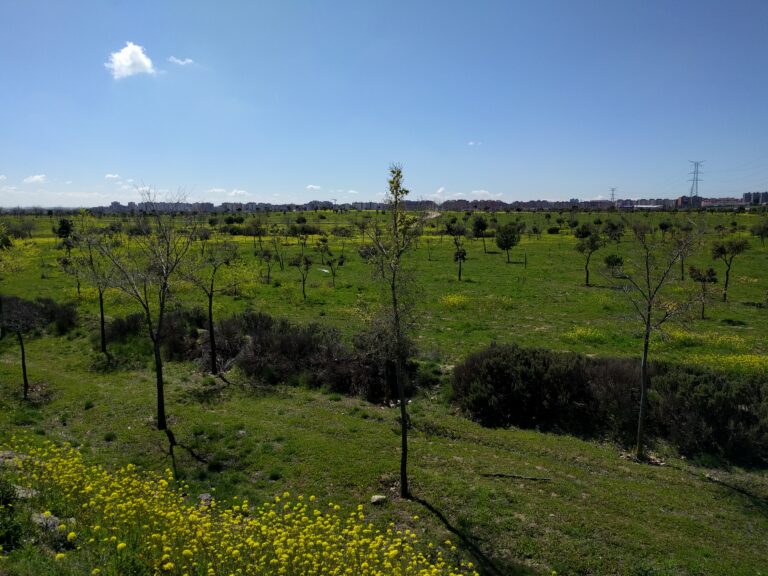 Más de 4 millones para la conservación de Bosquesur y el Parque de Valdebernardo