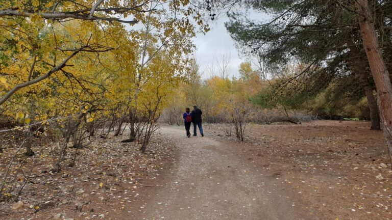 La Comunidad de Madrid aprueba 7 millones para la primera fase de Arco Verde