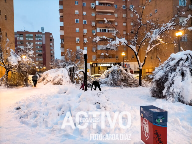Leganés intenta recuperar los miles de árboles afectados por la nevada