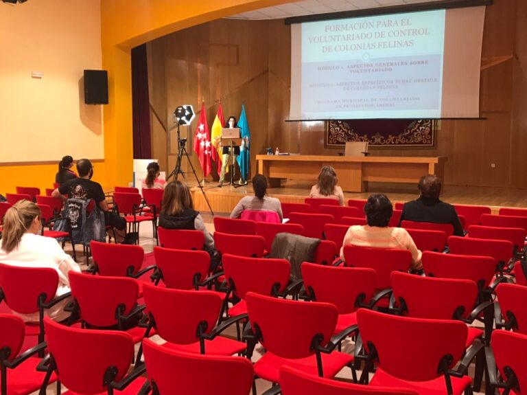 Leganés pone en marcha un Plan Municipal de Gestión Ética de las Colonias Felinas