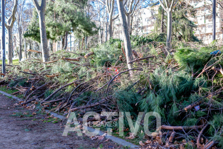 Leganés cifra en más de 3 millones de euros los destrozos de Filomena