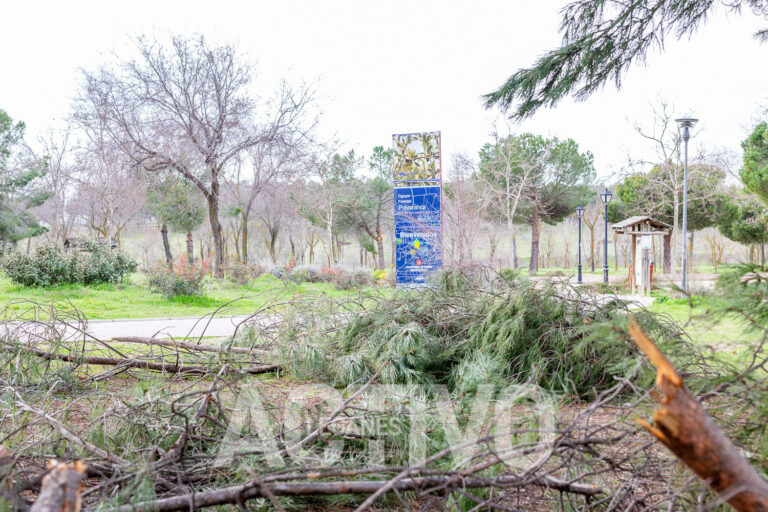 Así trabajan para la recuperación del Parque Polvoranca tras Filomena