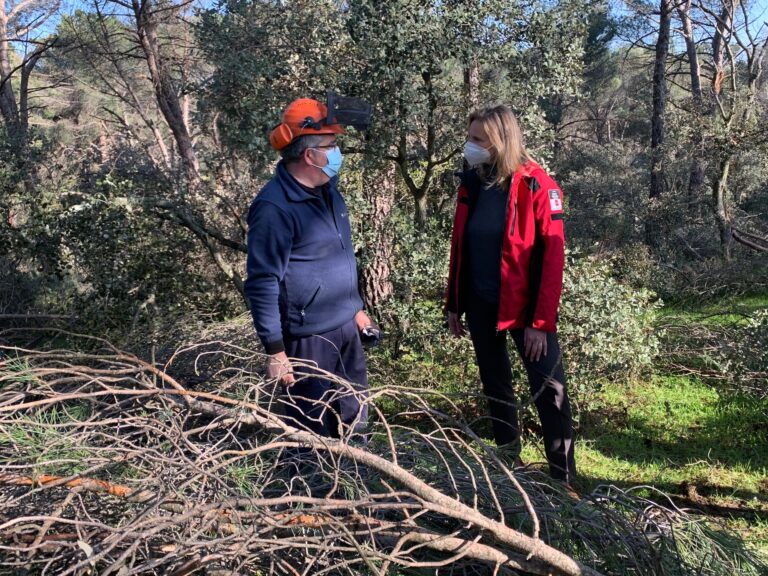 La Comunidad de Madrid actuará sobre más de 600 hectáreas de 31 municipios dañadas por la borrasca Filomena