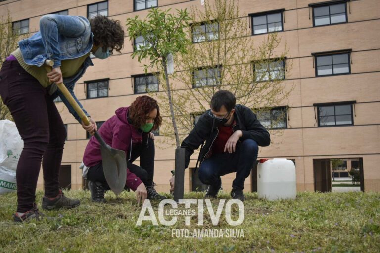 Más Madrid-Leganemos planta una decena de almentros en la Ronda Oeste