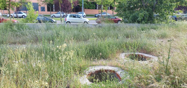 ULEG pide una solución definitiva para la nave abandonada en Arroyoculebro